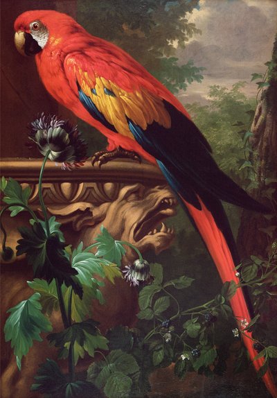 Scarlet Ara in een Landschap door Jakob Bogdani or Bogdany